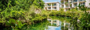 Andaz-Mayakoba-Resort-Riviera-Maya-P047-Mangrove-Lagoon-View.masthead-feature-panel-medium
